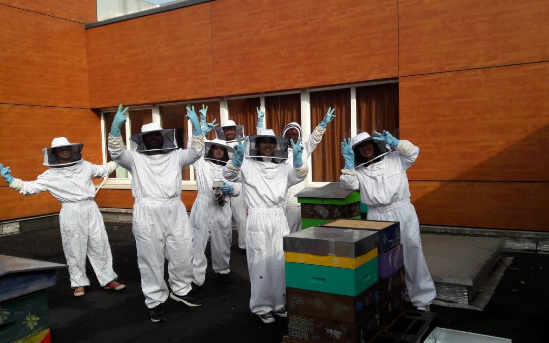 Eco-délégués : formation apiculture