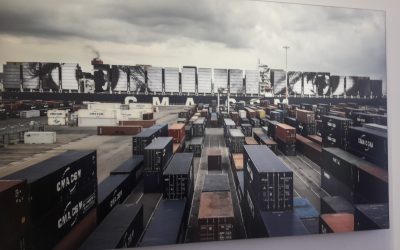 Visite de l’exposition « Momentum : la mécanique de l’épreuve » à la MEP