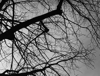Concours Photos sur la nature