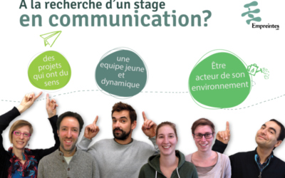 Actu du BTS Com – Le stage qui fait kiffer :  comment trouver l’organisme idéal !