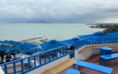 Un voyage au coeur de la langue et de la culture arabe
